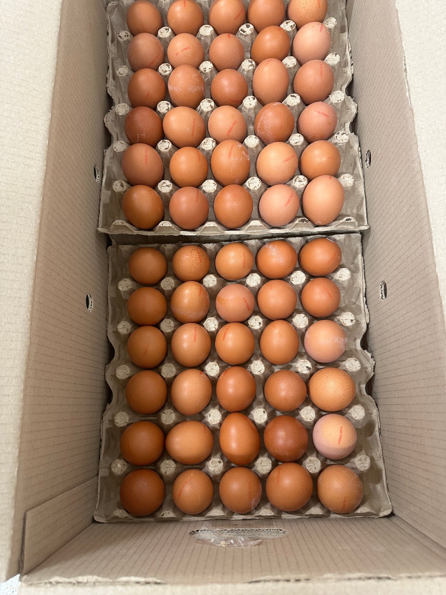 Medium Brown Eggs x 180 (unboxed)
